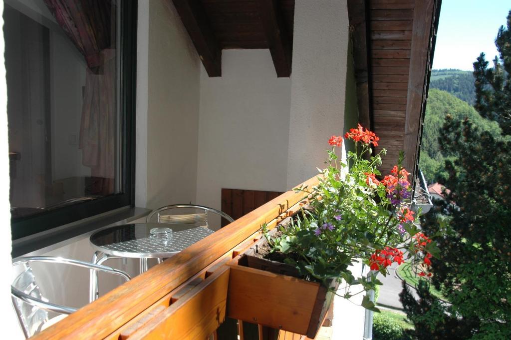 Pension Haus Diefenbach Хаймбах Номер фото